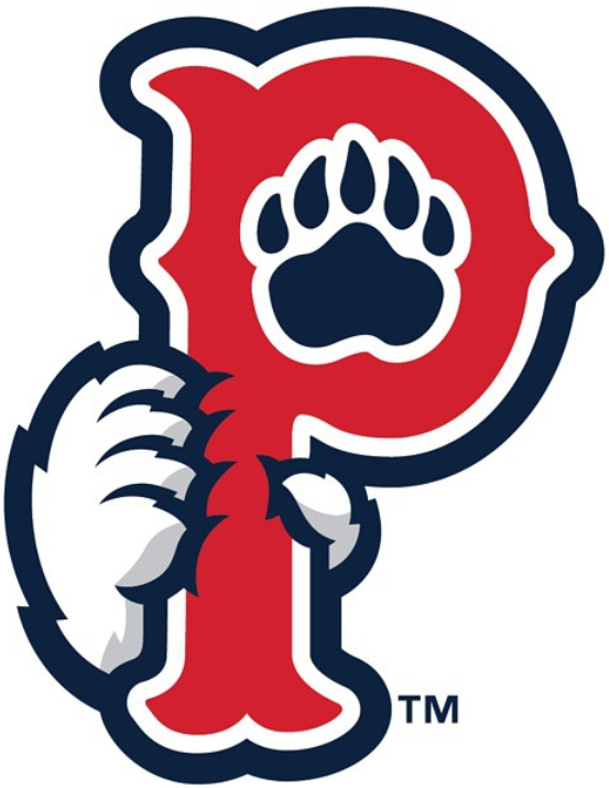 Pawtucket Red Sox 2015-Pres Cap Logo v2 iron on heat transfer